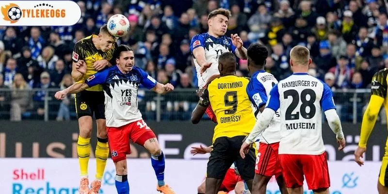 Cục diện thi đấu của Dortmund vs Hamburger