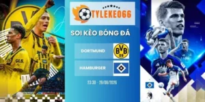 Soi kèo nhà cái Dortmund vs Hamburger - Bundesliga, 29/08/2026